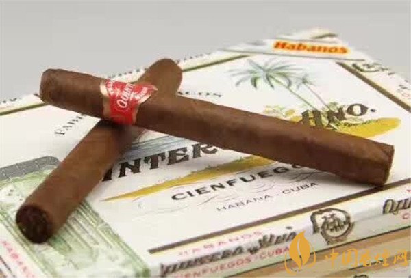古巴雪茄(金特罗宾利)价格表图 金特罗宾利雪茄多少钱