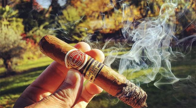 最便宜的雪茄多少钱 便宜的雪茄多少钱一盒/根