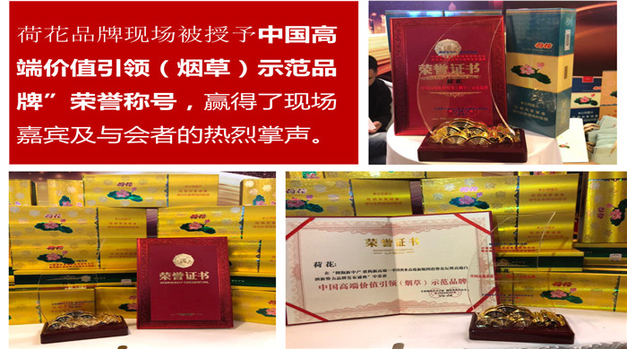 2018荷花烟问鼎新高端荷花获得荣誉称号四点成功因素