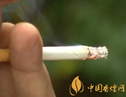 意大利拟考虑私家车内禁止吸烟