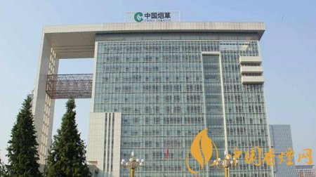 中国烟草多有钱20个阿里都不一定赶得上!