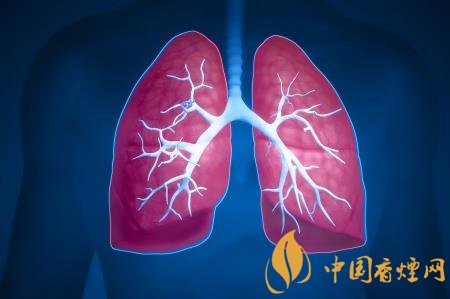肺部不舒服其实是吸烟所致 想要清肺需先戒烟!
