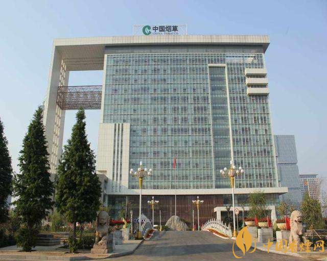 3.5亿烟民1年为国家贡献1.2亿!专家:卷烟太便宜,要涨价