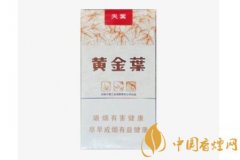 黄金叶天叶辨别真伪的方法分享