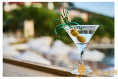 马天尼是什么酒 马天尼鸡尾酒制作方法